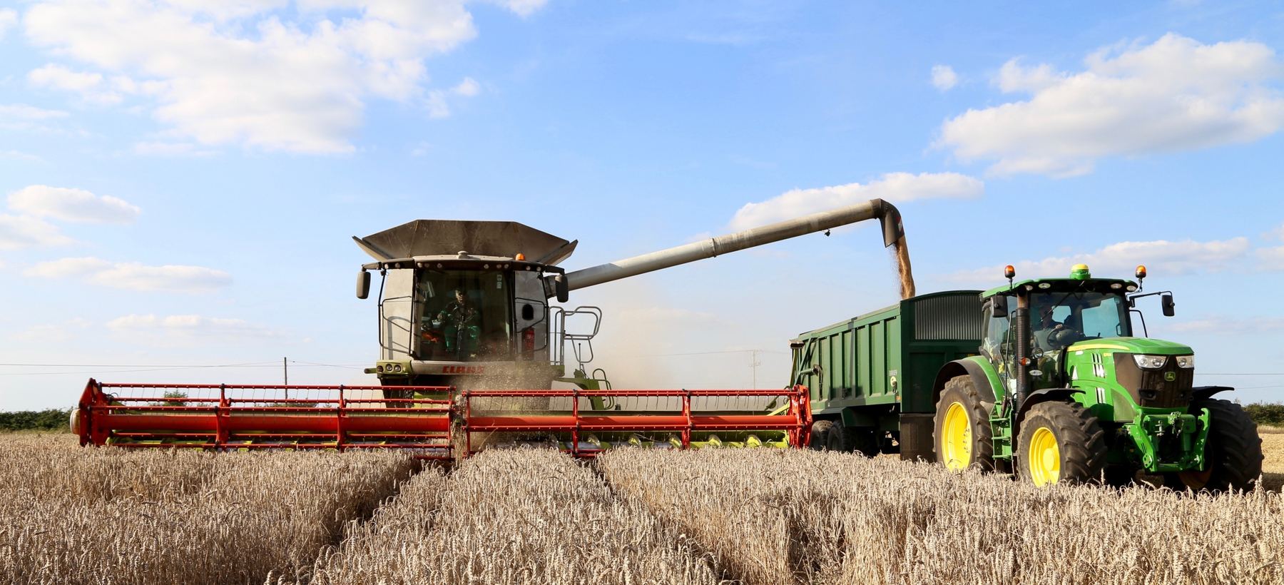 A combine unloading grain into a tractor and trailer at harvest