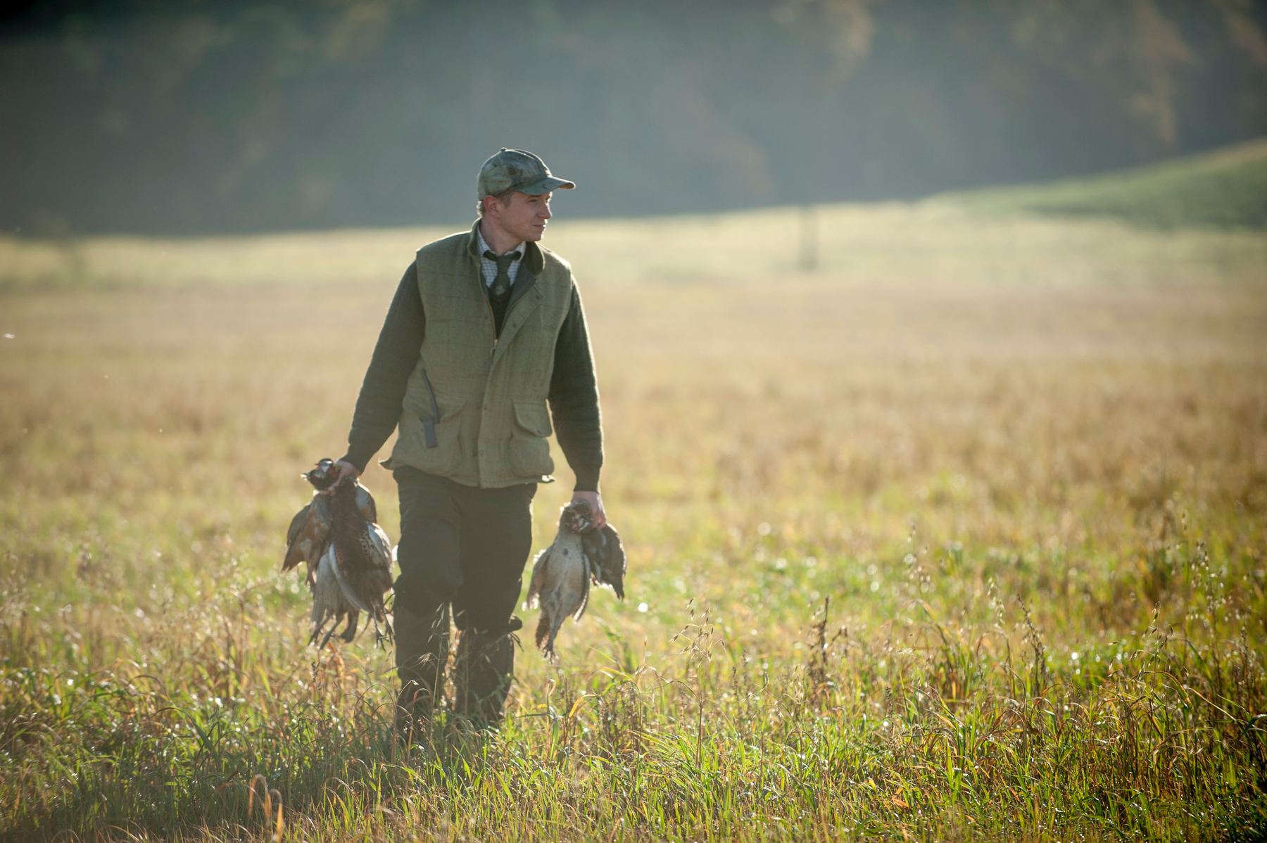 A picker-up carrying partridge across a stubble field in low sun